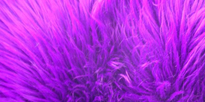 1024x768 Free download Purple Fur Wallpaper Wallpapers Gallery [1024x768