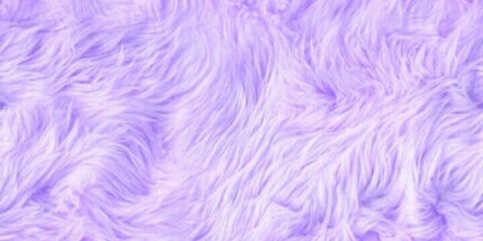 720x1165 Purple fur wallper discovered by ⓜⓐⓘⓣⓔ≧﹏≦ on We Heart It