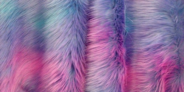 1024x768 Purple Fur Wallpapers