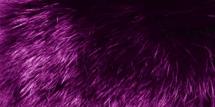 1600x900 Fur Wallpapers Lovely Purple Fur Wallpaper Wallpapersafari This