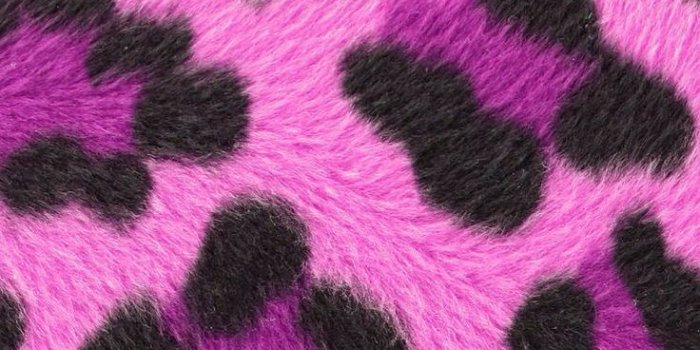 736x1377 Free download Purple Cheetah Spots fur wallpaper mobile9com iphone