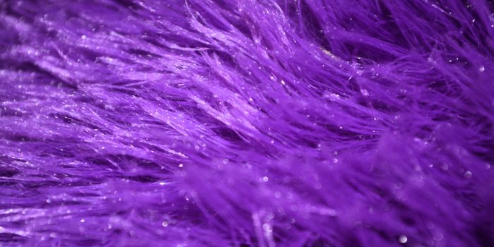 1920x1280 Fur Purple Wallpaper HD | Purple wallpaper hd, Purple wallpaper