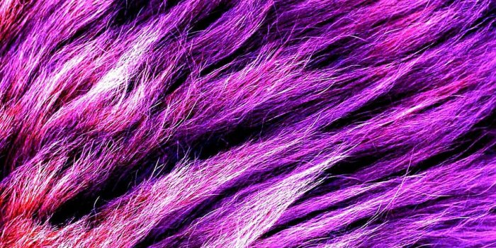 910x1366 HD wallpaper: foux, fur, purple, material, fashion, full frame