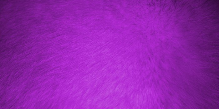 3888x2592 Purple Fur Wallpapers
