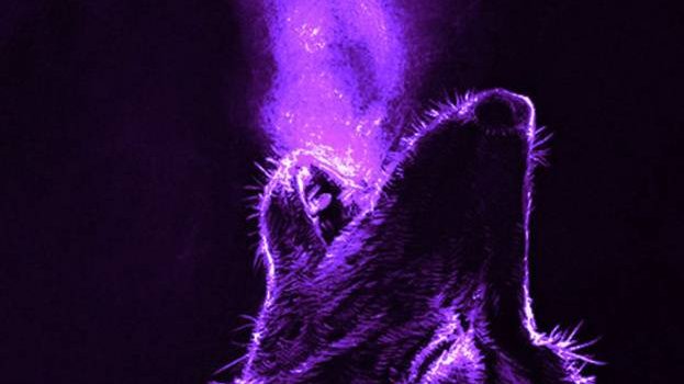 623x1280 Purple Wolf Wallpapers - Top Free Purple Wolf Backgrounds