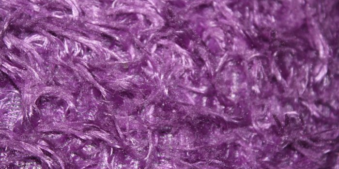 1920x1280 56+ Purple Fur Wallpapers on WallpaperPlay