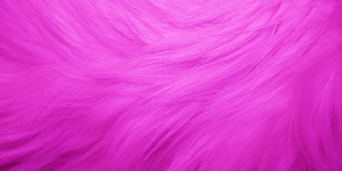 1440x960 Hot Pink Fur Background - 1440x960 Wallpaper - Ecopetit.cat