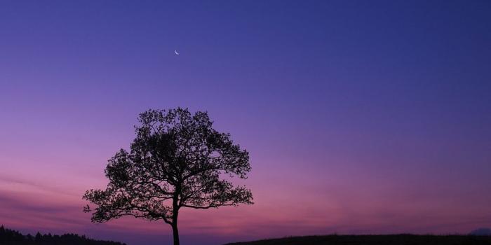 1024x1024 Free download all sized 1024x1024 to rotate to your hearts content