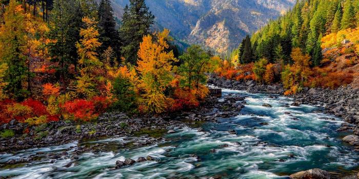 1920x1200 Wallpaper Hd Landscape Autumn Mountain Yellow And Red Leaves On