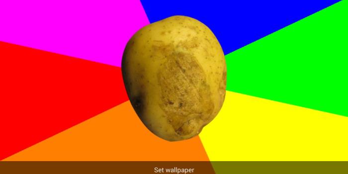 1280x800 Rotate-O-Potato Live Wallpaper for Android - APK Download