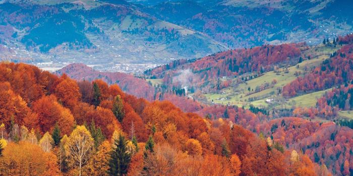 1366x768 wallpaper for desktop, laptop | mr50-fall-mountain-fun-red-orange