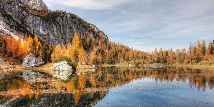 2560x1440 Desktop Wallpapers Alps Nature Autumn mountain Lake forest 2560x1440