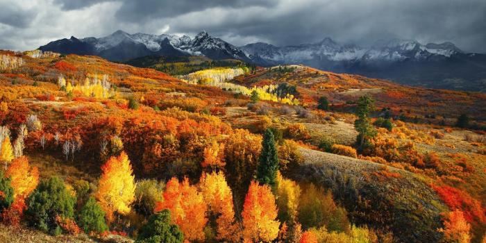 1920x1200 nature, Landscape, Fall, Forest, Mountain, Colorado, Snowy Peak