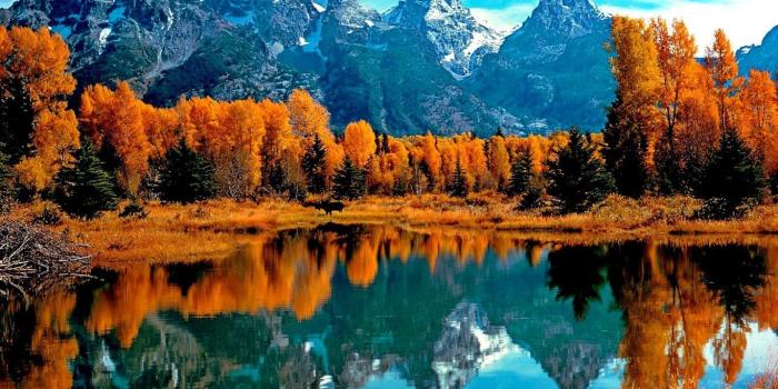 1366x768 Mountain Fall Foliage Wallpapers - Top Free Mountain Fall Foliage