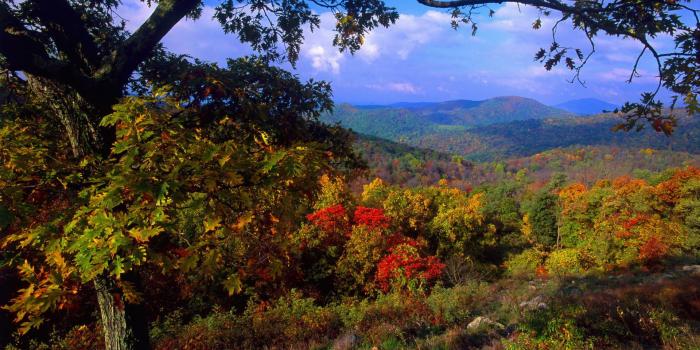 1920x1080 Download 1920x1080 Autumn mountain scenery wallpaper