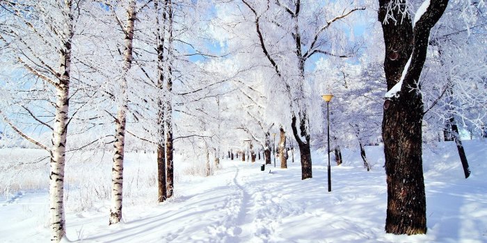 2560x1440 63+ Snow Images Wallpapers on WallpaperPlay