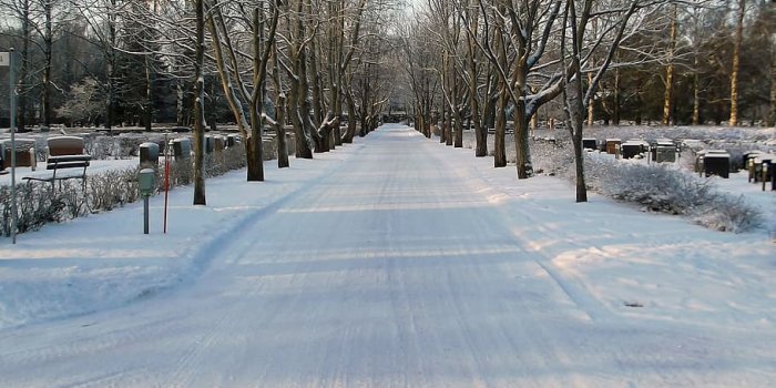 910x1093 360x640px | free download | HD wallpaper: road, alley, wood