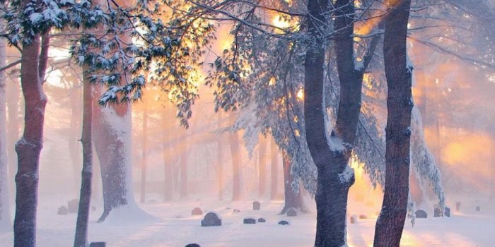 962x1346 A snowy cemetery with sunlight filtering through (New Hampshire
