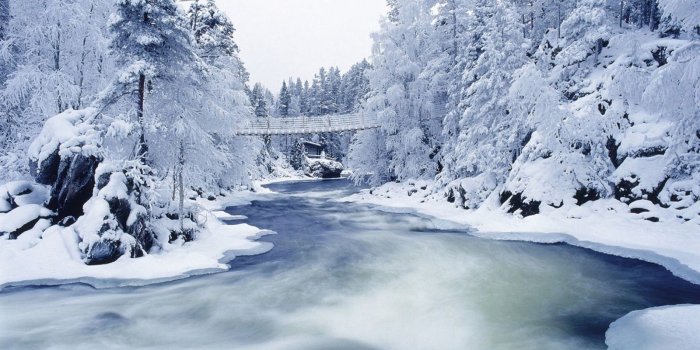 1600x1000 47+] 3D Snowfall Wallpaper on WallpaperSafari