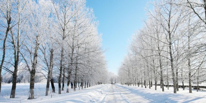 1920x1080 63+ Snow Images Wallpapers on WallpaperPlay