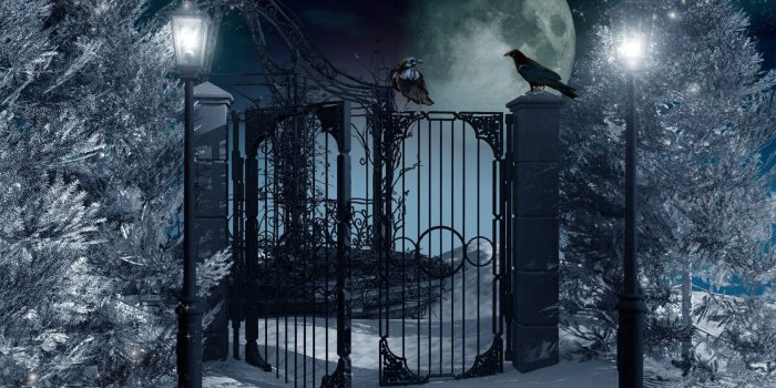 1920x1080 Winter Night Wallpaper (81+ pictures)
