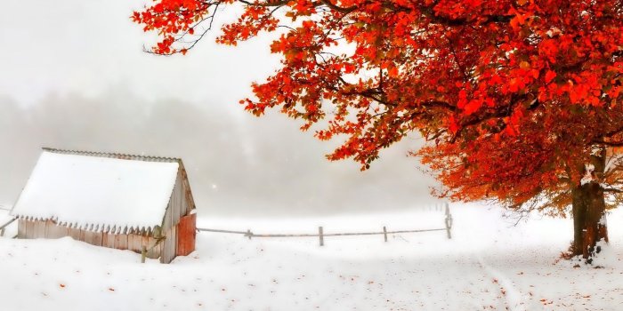 1920x1080 Storm Shack Tree Red Snow Leaves Early Autumn Countryside Winter