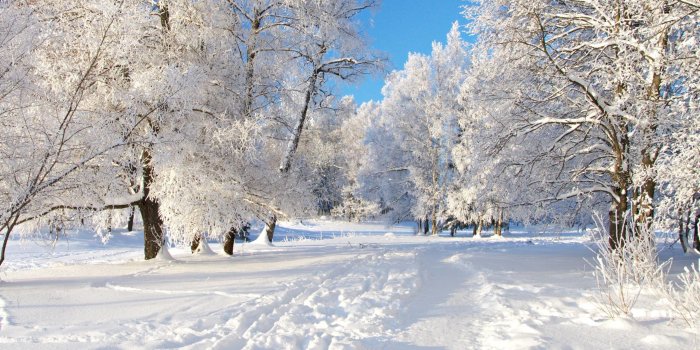 2560x1600 63+ Snow Images Wallpapers on WallpaperPlay
