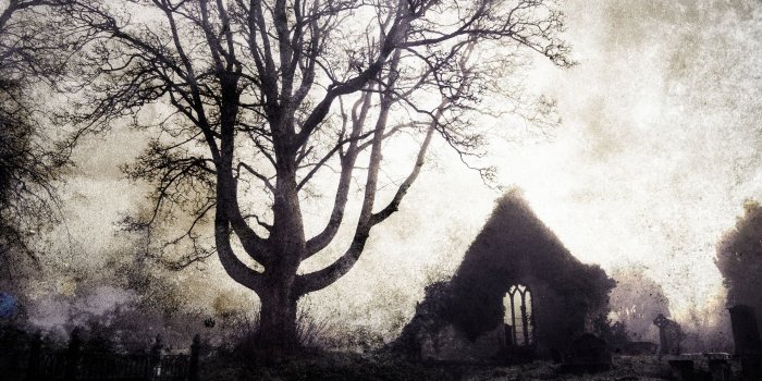 1920x1200 Tree Cemetery Gothic Buildings Ruins Cross Landscapes - Gothic