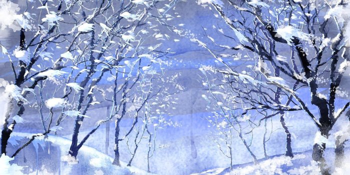 1920x1200 63+ Snow Images Wallpapers on WallpaperPlay