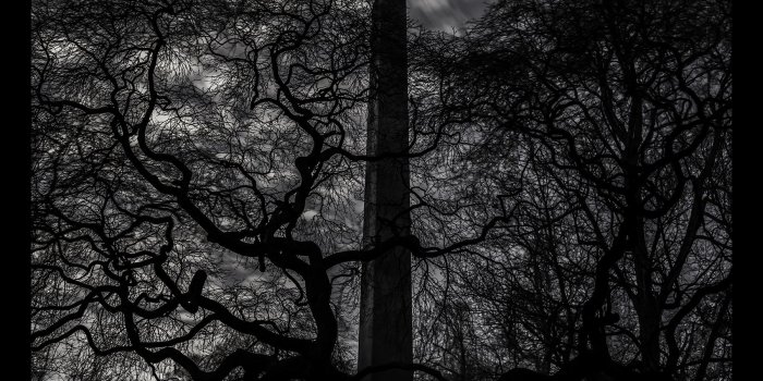 1800x1249 State of the Arts: Seeing Lake View Cemetery in a New Light | WKSU