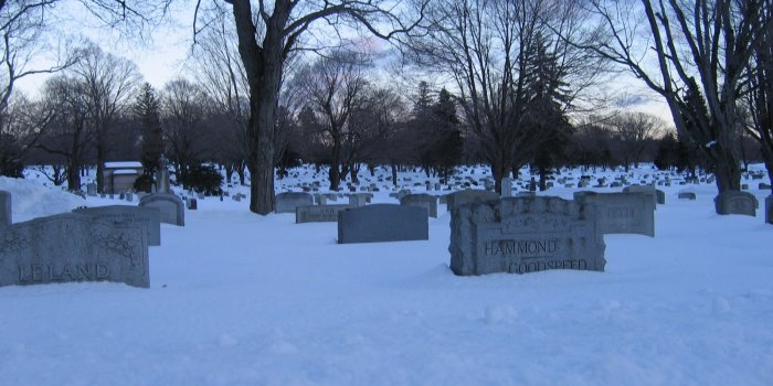 1600x1200 The Elizabeth Bishop Blog: Reports from Worcester and Prague