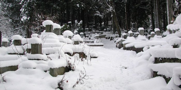 1024x768 Path through the Cemetery | Snowy path through a cemetery in…