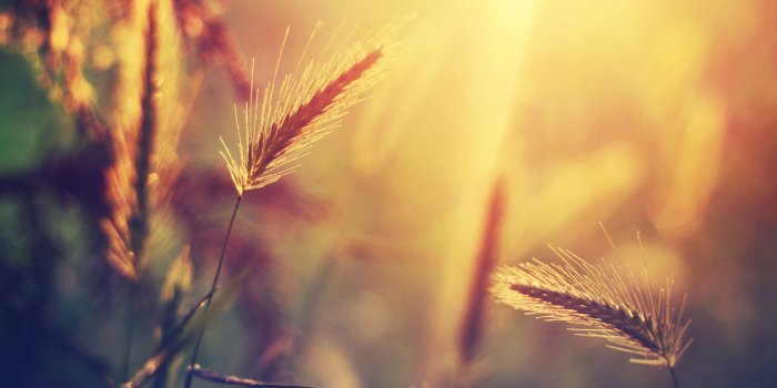 3840x2400 Vintage Summer Desktop Wallpapers - Top Free Vintage Summer