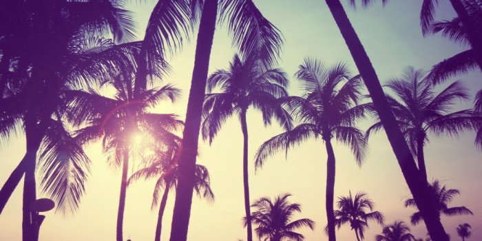 1000x800 Vintage Summer Desktop Wallpapers - Top Free Vintage Summer