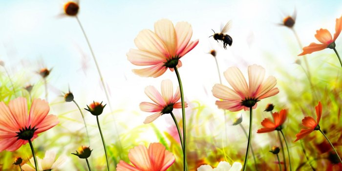 1680x1050 Free download Vintage Summer Desktop Wallpapers Top Vintage Summer