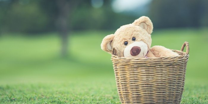 1332x850 Wallpaper summer, basket, toy, bear, bear, summer, vintage, bear