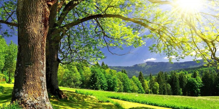 1920x1080 Summer HD Wallpapers (79+ images)