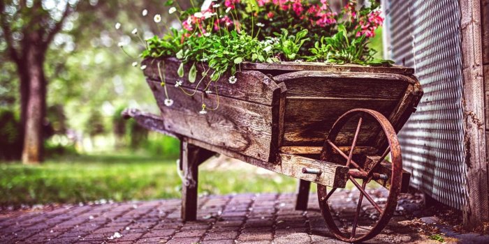 1920x1200 Vintage Flower Pot HD Wallpaper - WallpaperFX