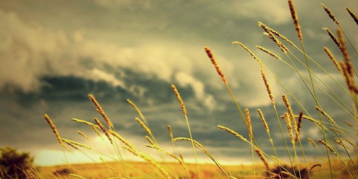 1680x1050 Vintage Hd Backgrounds - Summer Wallpaper Hd, Download Wallpapers