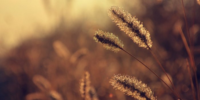 1680x1050 Best 55+ Vintage Style Desktop Backgrounds on HipWallpaper