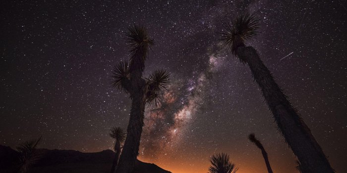 1920x1200 Download 1920x1200 Desert night wallpaper