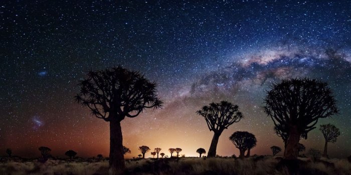 2560x1440 Night Landscape The Milky Way Trees Desert Area In Night Joshua