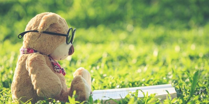 1332x850 Wallpaper summer, grass, toy, bear, glasses, bear, book, summer