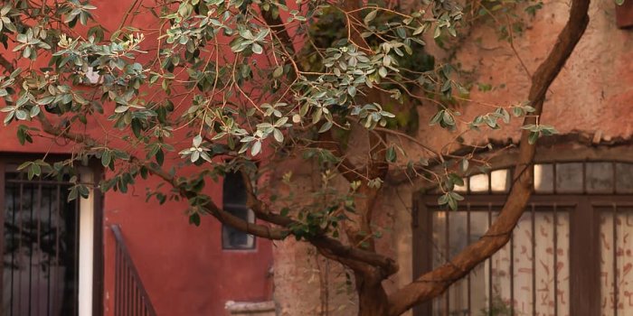 910x1365 HD wallpaper: bycicle, architecture, street, city, summer, vintage