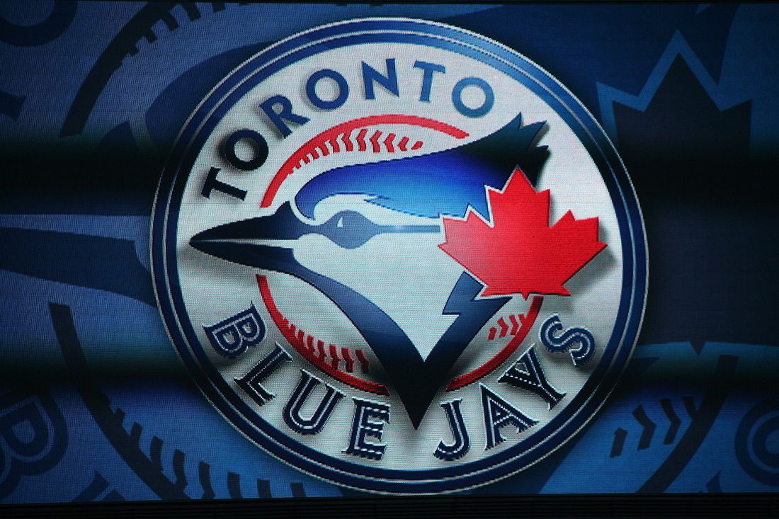 1100x733 Let's Go Blue Jays... - My life through the lens....