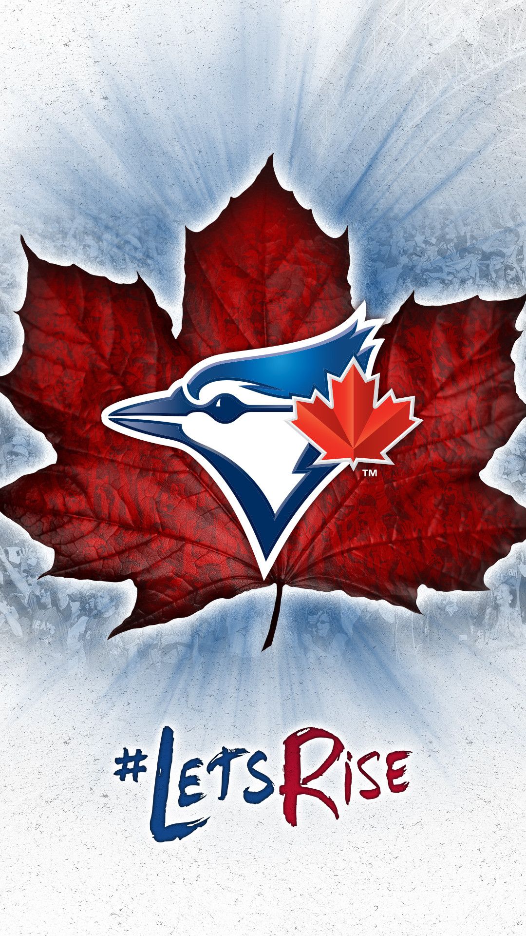 1080x1920 Blue Jays Wallpaper (69+ images)