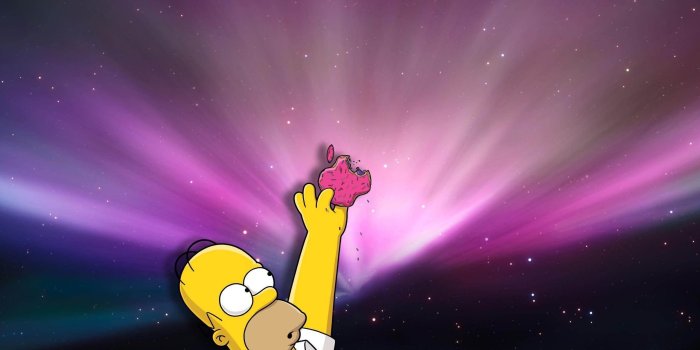 2560x1600 Homer Simpson Iphone Wallpaper