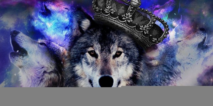 2560x1700 Free download Galaxy Wolf Wallpaper 69 images [2880x1800] for your