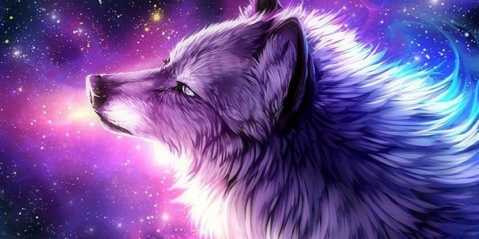 1440x960 Galaxy Wolf Wallpapers