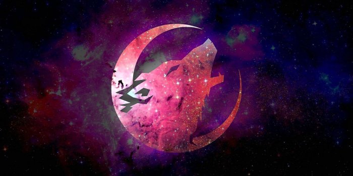 2427x1365 Wolf Wallpapers For Galaxy - Wolf-Wallpapers.Pro